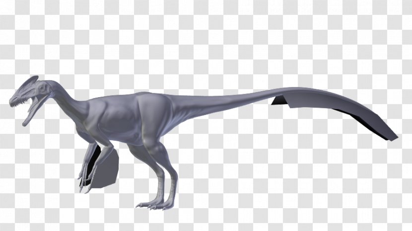 Dinosaur - Nope Map Transparent PNG