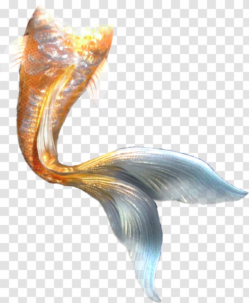 Mermaid Tail - Fairy Tale - Shadow Transparent PNG