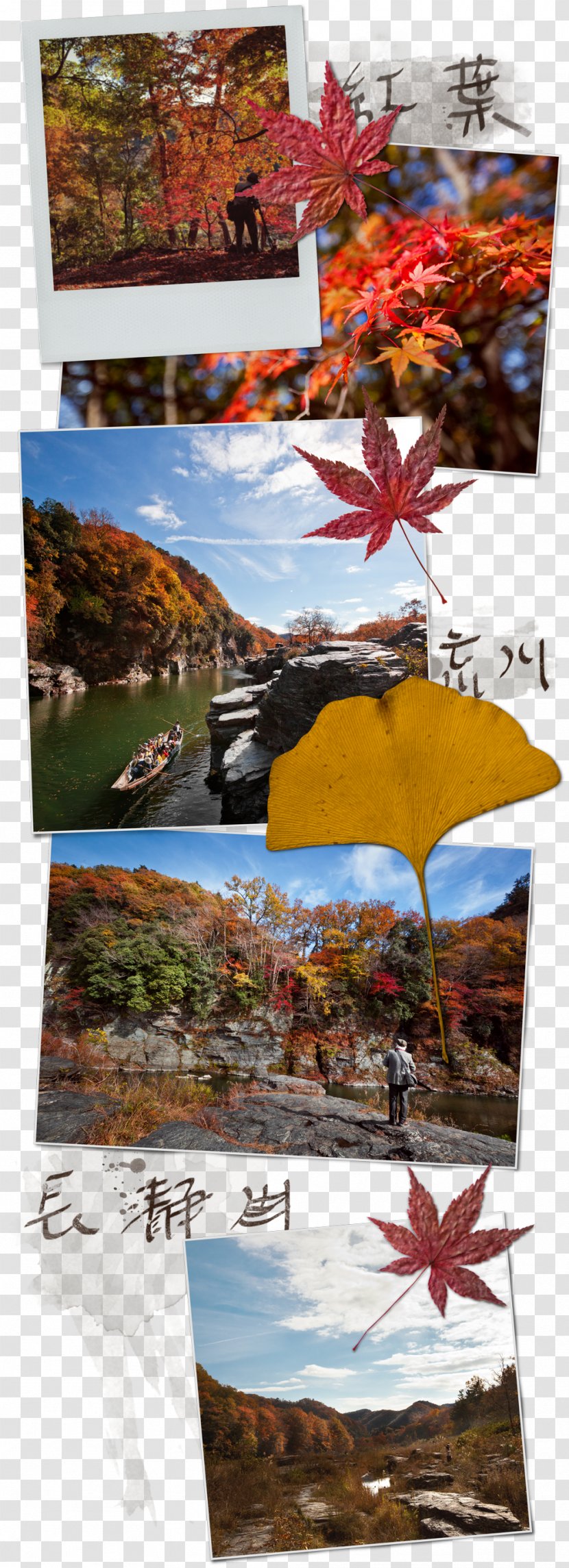 Echigo-Yuzawa Station Chichibu Yellow Hue Color - Leaf - Maple Transparent PNG