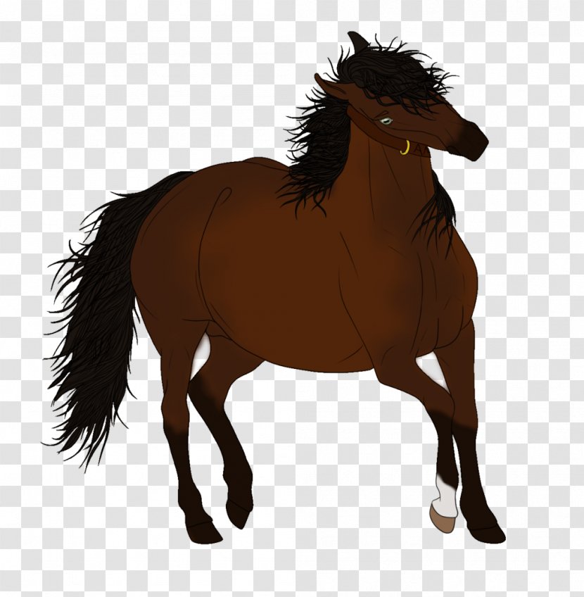 Mustang Stallion Mare Rein Halter - Livestock - Dark Knight Transparent PNG