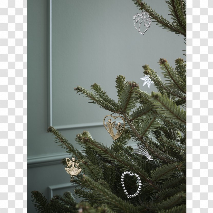 Writer Christmas Tree Spruce Ornament - Conifer Transparent PNG