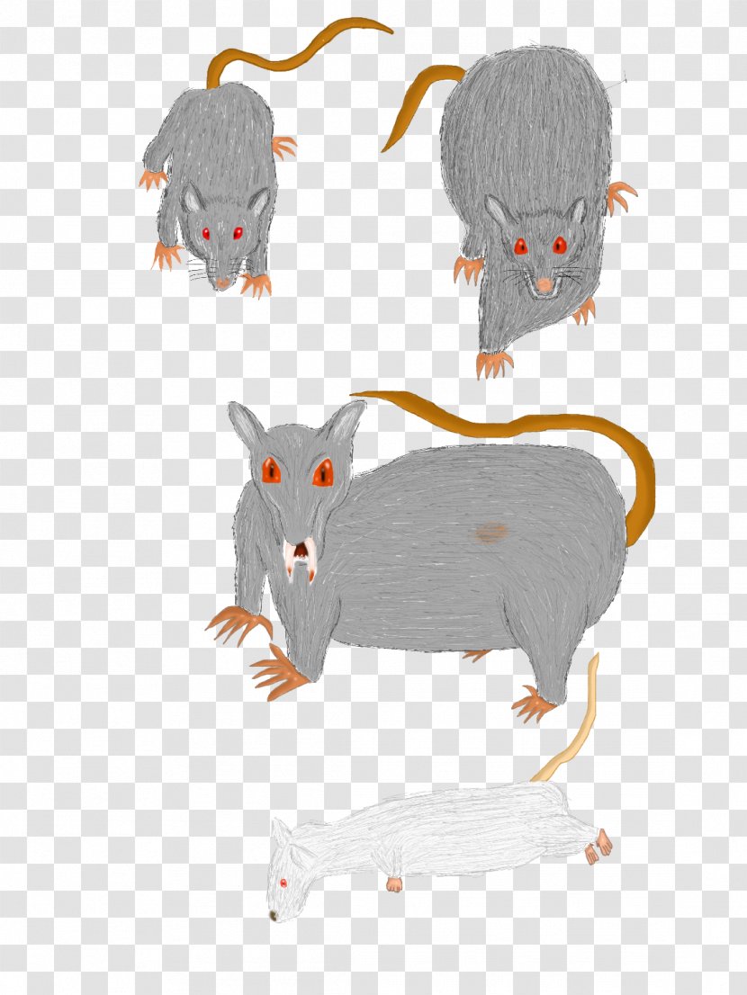 Mouse Rat Rodent Cat Murids - Cartoon - & Transparent PNG