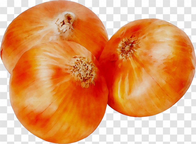 Tomato Winter Squash Onion Food - Yellow Transparent PNG