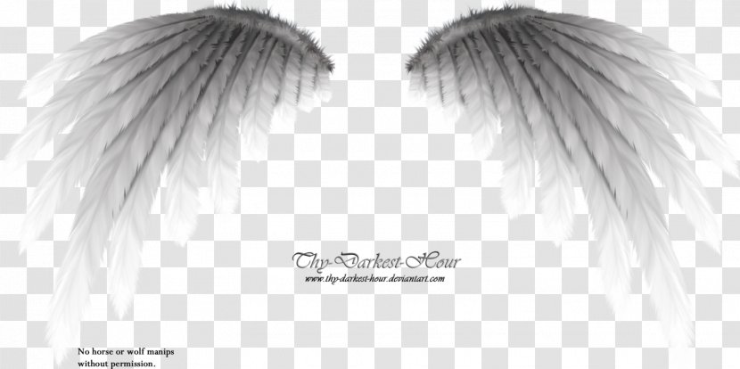 Black And White Monochrome Photography DeviantArt - Close Up - Metallic Wings Transparent PNG