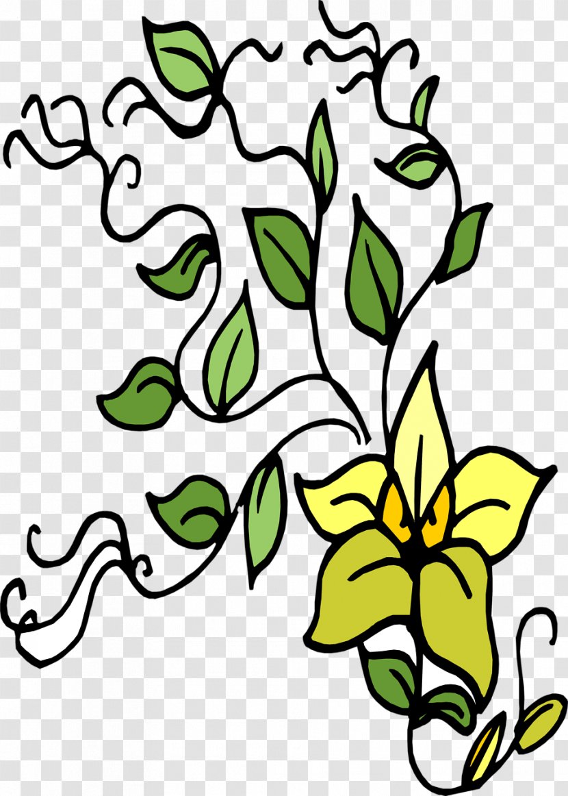 Plant Tree Flower Leaf - White - Illustration Transparent PNG