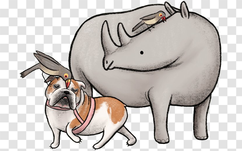 Bulldog Cartoon - Snout - Animal Figure Transparent PNG