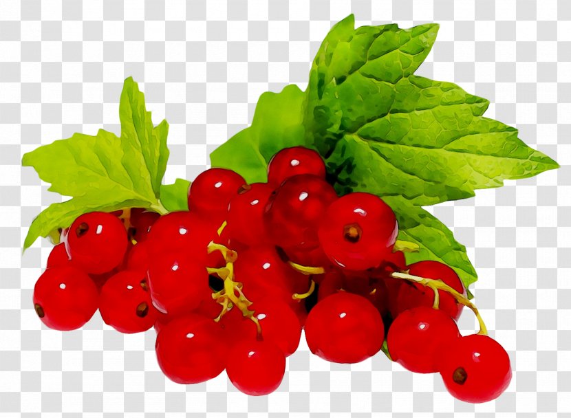 Gooseberry Zante Currant Raspberry Cranberry Redcurrant - Food - Hawthorn Transparent PNG