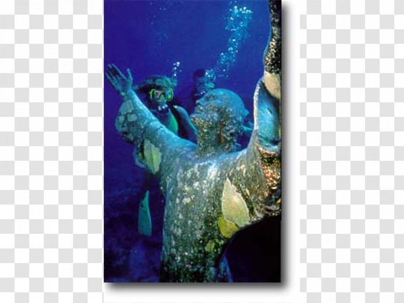 John Pennekamp Coral Reef State Park Key Largo Florida Keys West Christ Of The Abyss Transparent PNG