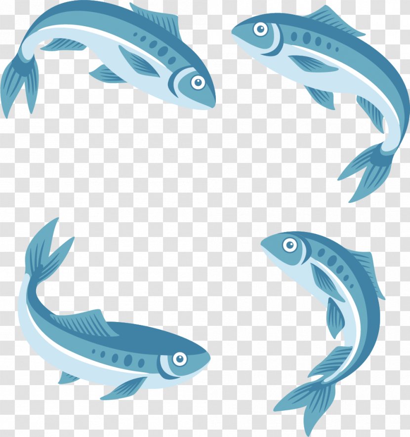 Clip Art - Marine Mammal - Circulating Fishes Transparent PNG