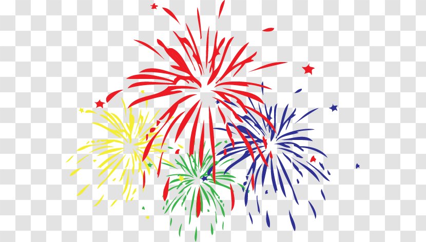 Fireworks Canada Day Festival Clip Art - Flower Transparent PNG