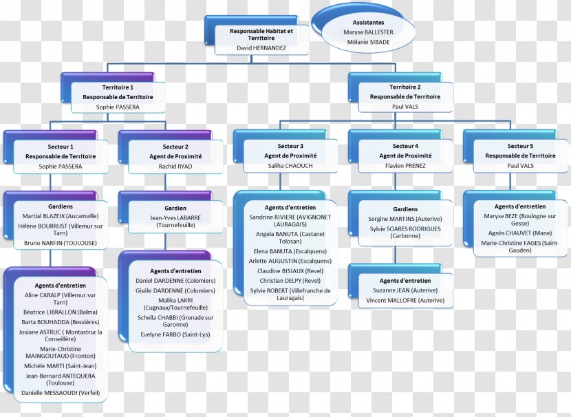 Organizational Chart HLM Building Dwelling - House Transparent PNG