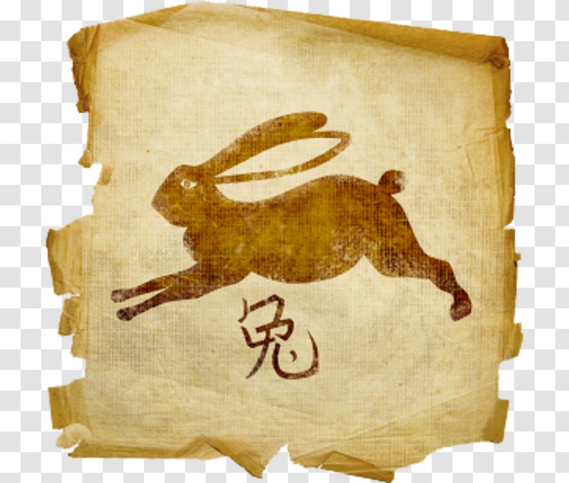 Chinese Zodiac Astrology Rabbit Horoscope Transparent PNG