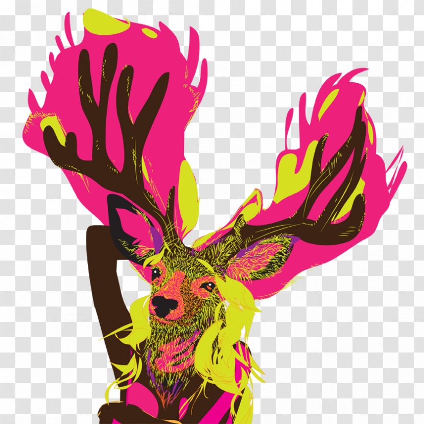 Deer Graphic Designer Illustrator - Frame Transparent PNG