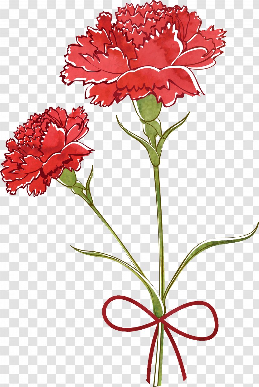 Carnation Flower Drawing Watercolor Painting - CARNATION Transparent PNG
