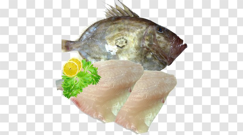 Sashimi Smoked Salmon Recipe Tilapia Fish Fillet Transparent PNG
