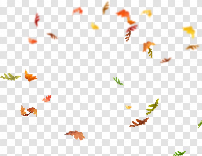 Leaf Overlay - Pollinator - Falling Transparent PNG