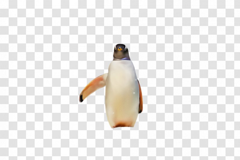Penguin - King - Beak Gentoo Transparent PNG