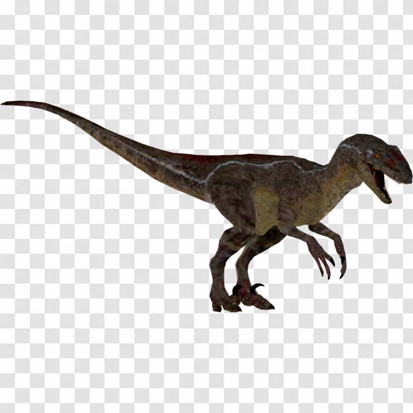 Velociraptor Zoo Tycoon 2: Marine Mania Tycoon: Dinosaur Digs Extinct Animals Endangered Species - Beak - Thailand Transparent PNG