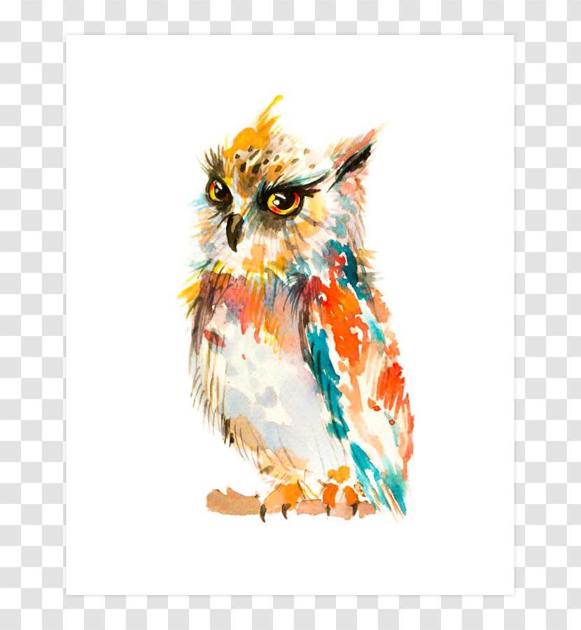 Barn Owl Watercolor Painting Art - Wing Transparent PNG
