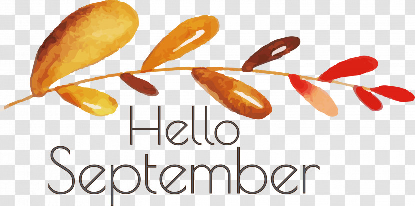 Hello September September Transparent PNG