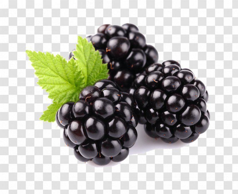 Tayberry Blackberry Fruit Raspberry Transparent PNG