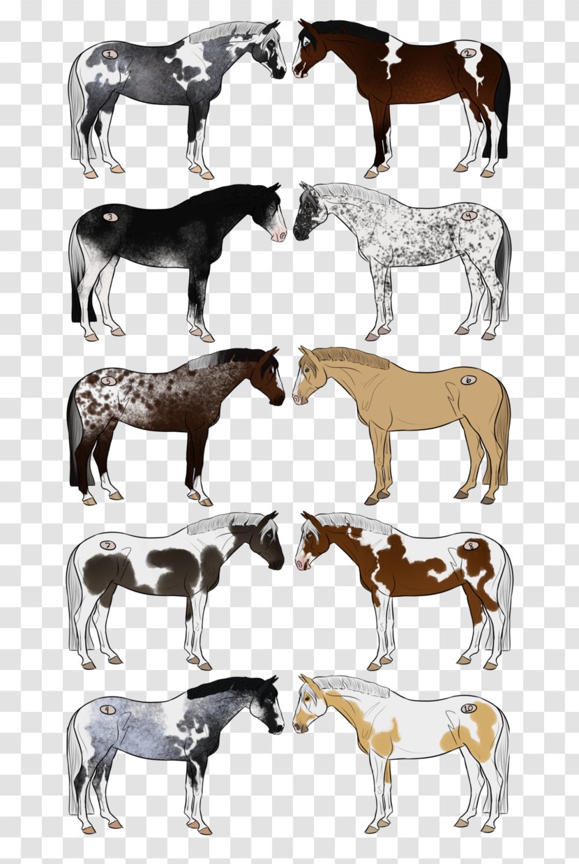 Cattle Mustang Foal Stallion Donkey - Tree - Bidding Fee Auction Transparent PNG