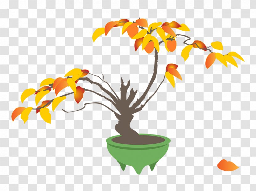 Japanese Persimmon Tree Flowerpot - Bonsai Transparent PNG