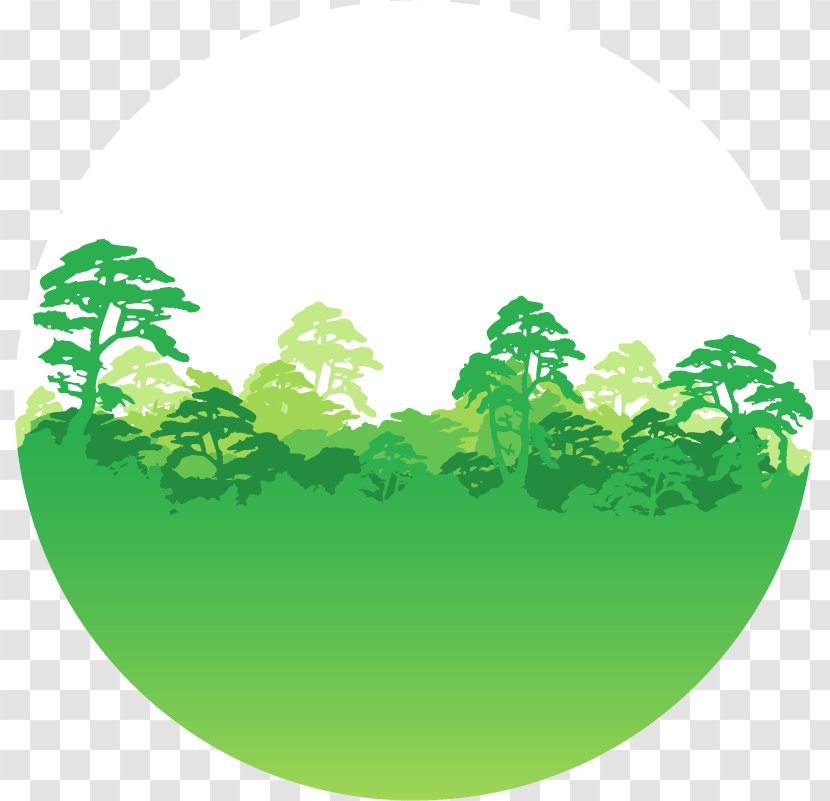 Greenpeace USA Logo University Of Applied Sciences, Kaiserslautern - Forests Clipart Transparent PNG