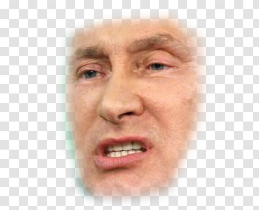 Vladimir Putin President Of Russia United States News Transparent PNG