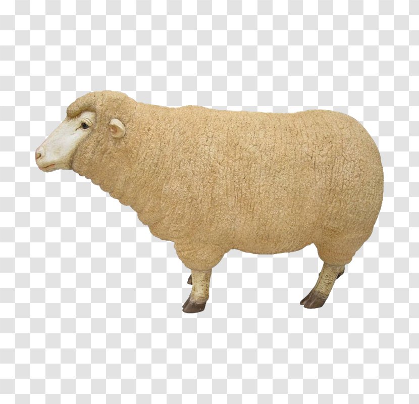 Sheep Cattle Snout Terrestrial Animal Mammal Transparent PNG