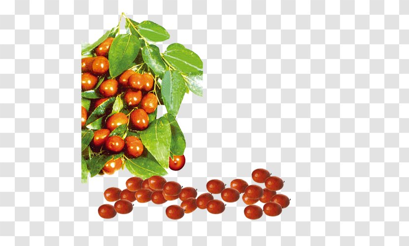 Cranberry Jujube Date Palm - Cherry - Dates Transparent PNG