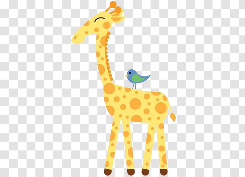 Giraffe Cuteness Mammal Animal Infant - Clipart Transparent PNG