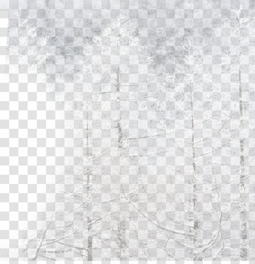 White Black Angle Pattern - Monochrome - Winter Tree Transparent PNG