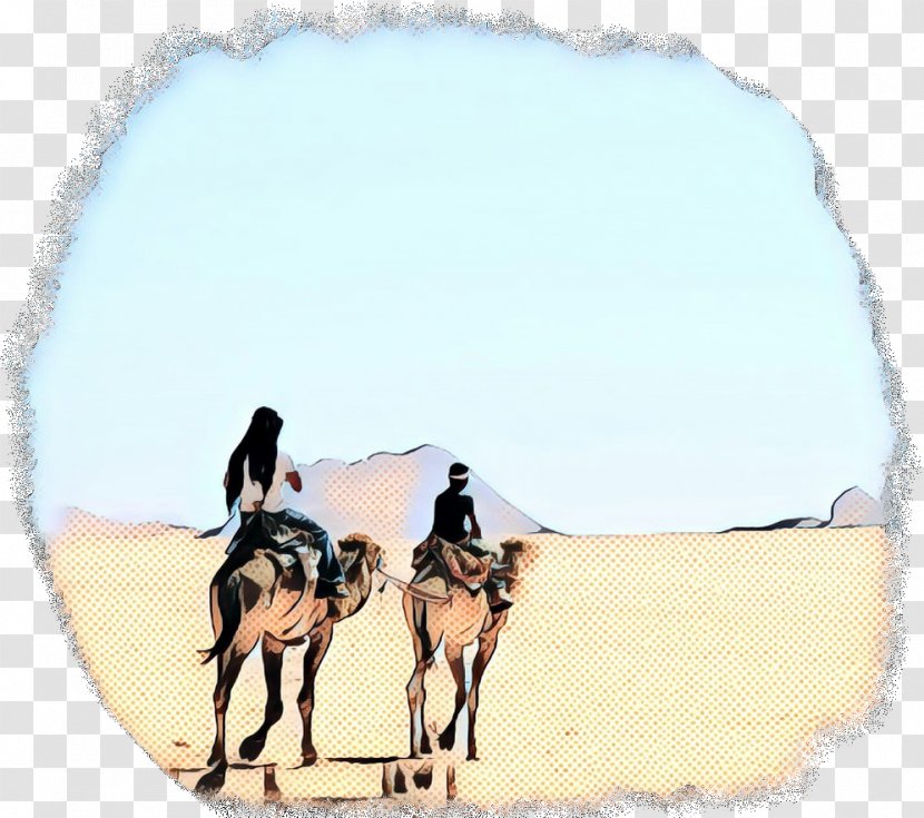 Drawing People - Camel - Pack Animal Transparent PNG