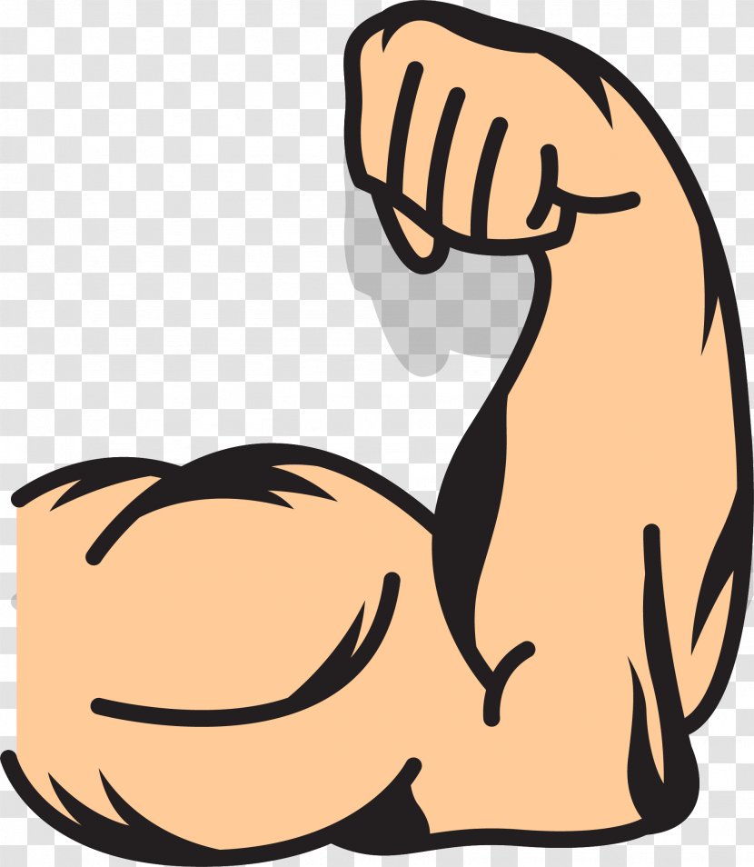 Muscle Arms Clip Art - Vertebrate - Strong Transparent PNG
