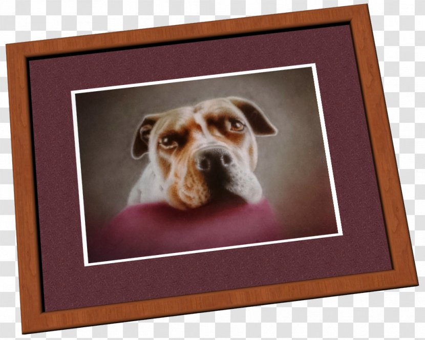 Dog Breed Puppy Snout Picture Frames - Like Mammal - Three-dimensional Square Business Chin Transparent PNG