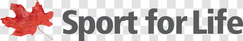 Logo Brand Font Product Line - Text - Skill Development Transparent PNG