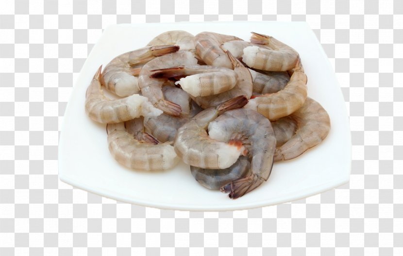 Seafood Barbecue Shrimp And Prawn As Food Cooking - Grilling Transparent PNG