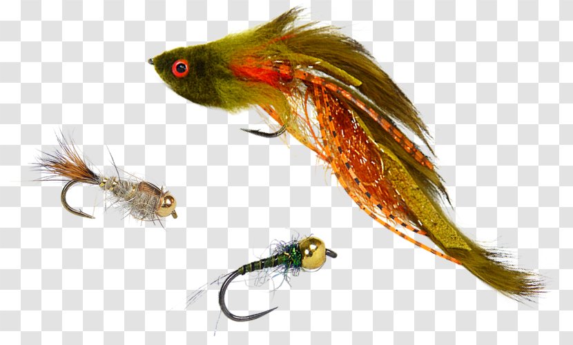 Fly Fishing Pheasant Tail Nymph Trout Artificial - Feather - Flies Transparent PNG