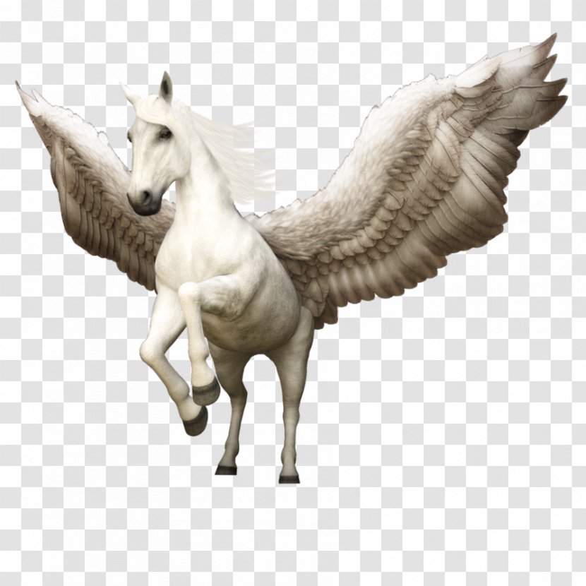 Horse Pegasus Greece Cavalo-alado Winged Unicorn Transparent PNG