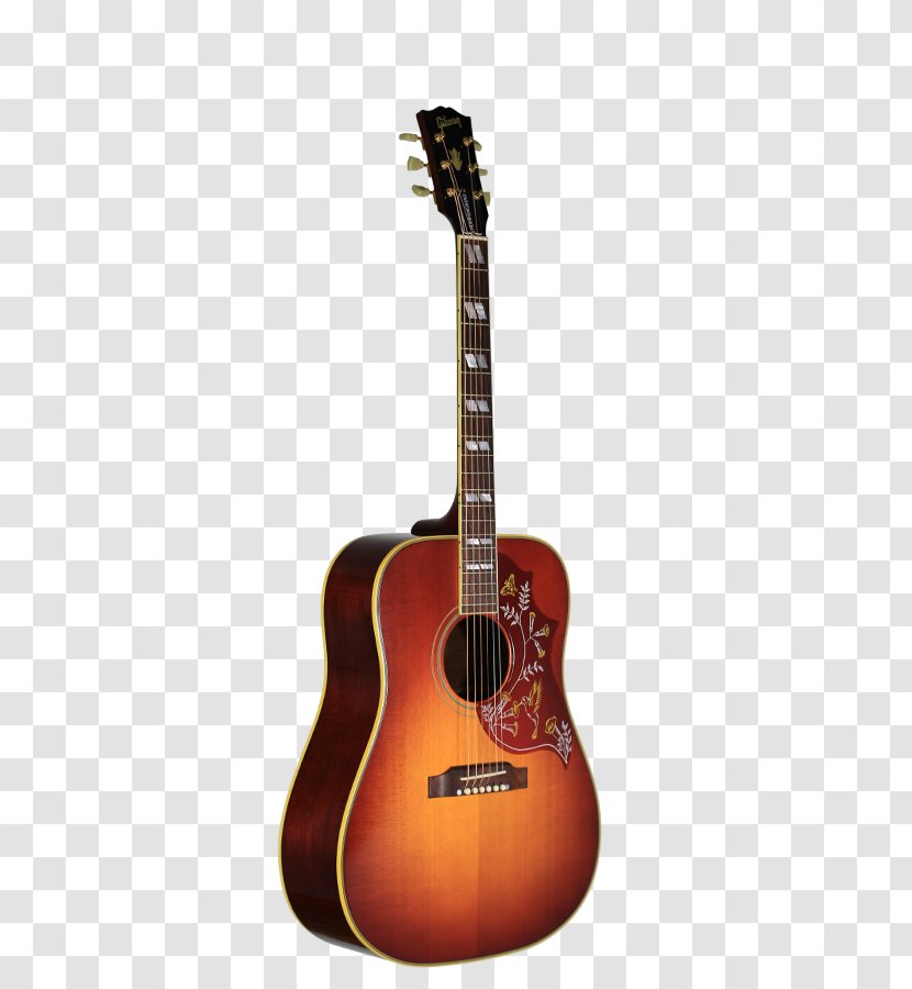 Acoustic Guitar Acoustic-electric Bass Tiple - Gibson Transparent PNG