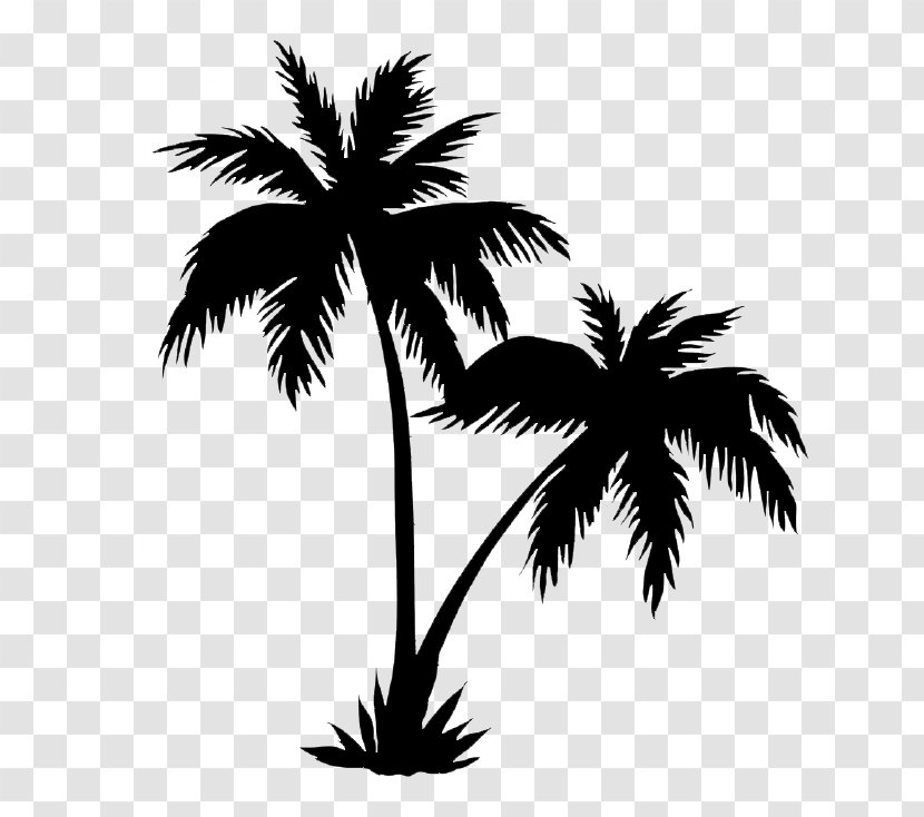 Royalty-free Arecaceae Drawing Tree - Palm Silhouette Transparent PNG