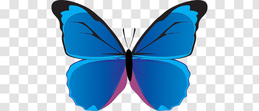 Monarch Butterfly Papillon Dog Morpho Peleides Clip Art - Eurema Hecabe Transparent PNG