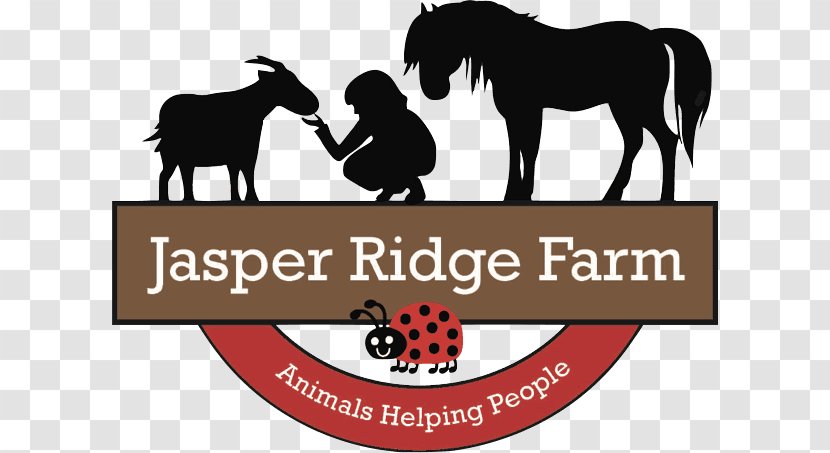 Jasper Ridge Farm Animal Snowball Horse - Logo Transparent PNG