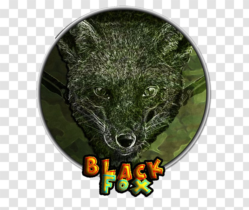 Canidae Dog Fauna Wildlife Snout - Carnivoran - Black Fox Transparent PNG