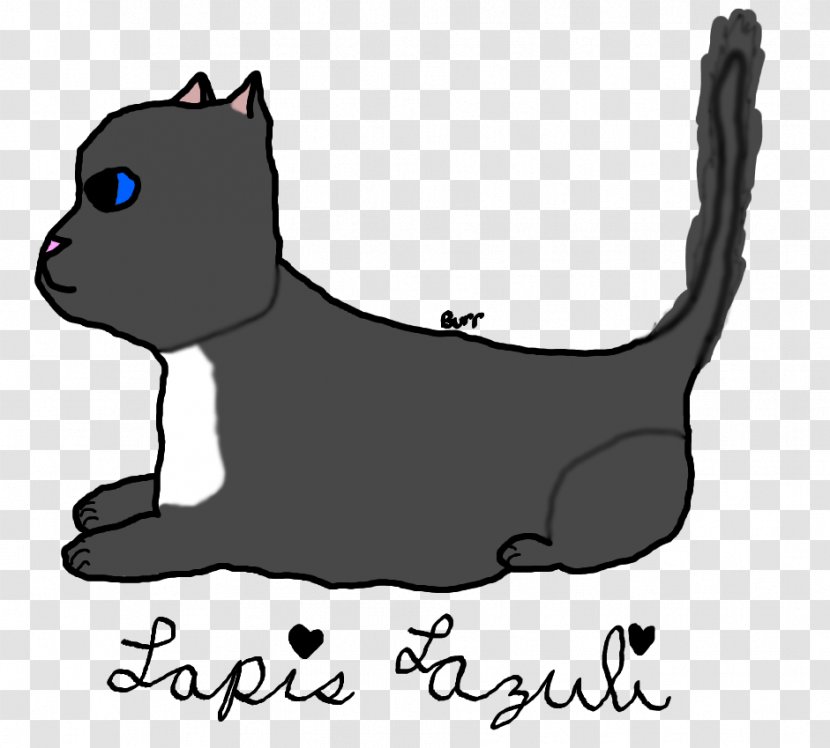 Whiskers Dog Kitten Domestic Short-haired Cat Black - Shorthaired - Lapis Lazuli Transparent PNG