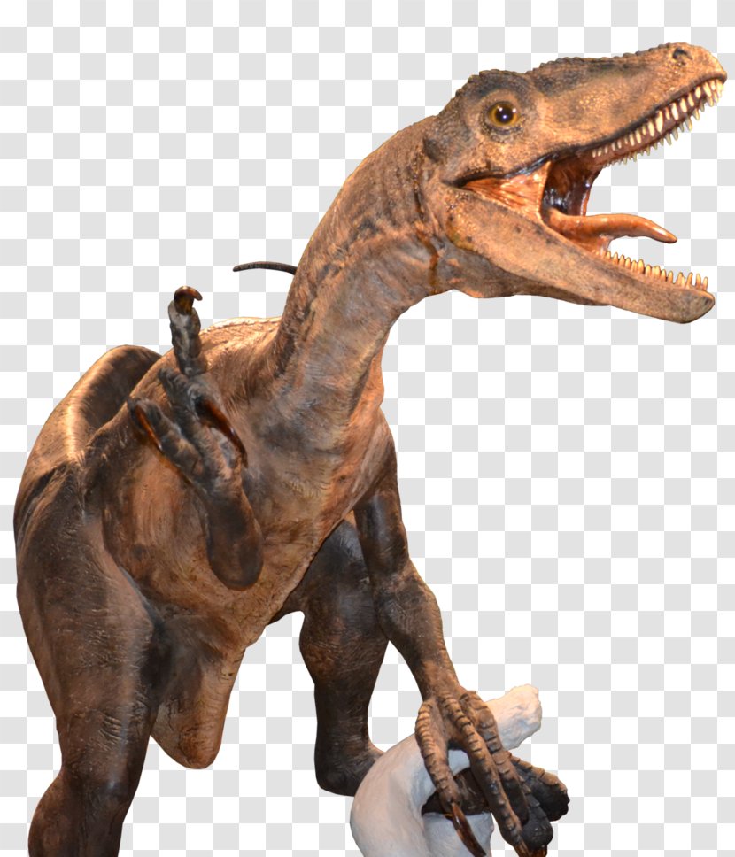Velociraptor - Stock - Symbol Transparent PNG