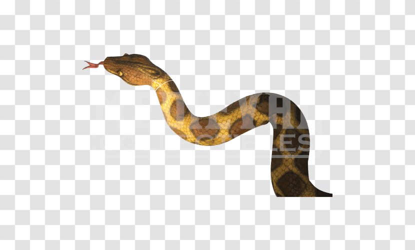 Boa Constrictor Rattlesnake Terrestrial Animal - Snake Transparent PNG