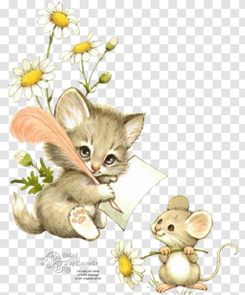 Kitten Ragdoll Persian Cat Asian Semi-longhair Mouse - Cattery Transparent PNG