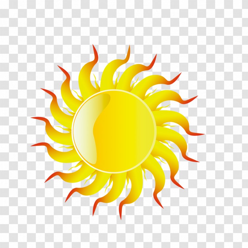 Sun Clip Art - Sunlight Transparent PNG